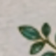 Một cỡ