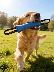 狗狗玩具－狗狗咀嚼玩具。這款耐用的拉繩玩具適合小型到中型犬，可用於訓練牠們的咀嚼能力、拉扯技巧和障礙訓練。這款耐用的寵物咀嚼玩具有助於鍛鍊狗狗的下顎。非常適合拉布拉多、德國牧羊犬、哈士奇以及許多其他犬種。適合室內和室外玩耍。此玩具也可用於牽繩訓練、服從訓練和幼犬訓練。 - 彩色 - 查看 3