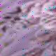Purple-2007