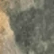 軍綠色