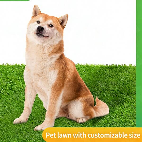 Bajs- och kissdynor för hundar för inomhus och utomhusbruk, Professionella kissdynor för utomhusbruk för hundar, Simulerad konstgräsmatta, Träningsdynor för husdjur, Lättrengjorda halkfria toalettdynor för husdjur, Lämplig för små, medelstora och stora hundar, Hundbajs inomhus, Hundexkrementdynor, Hundtoalett, Kissbassäng för hund, Hygientränare för husdjur, Hundtoalett inomhus, Kissdynor för stora hundar, Träningsdynor för husdjur