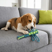 Dragonfly-Shaped Pet Tug Toy, Durable & Chew-Resistant For Small To Medium Dogs, Helps Clean Teeth, Interactive Pulling & Grabbing Game - 5pcs - View 1