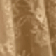 màu nâu