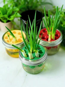 1pc 3D Printed Mold For DIY Hydroponic Planting Of Garlic & Green Onion - Multicolor - View 1