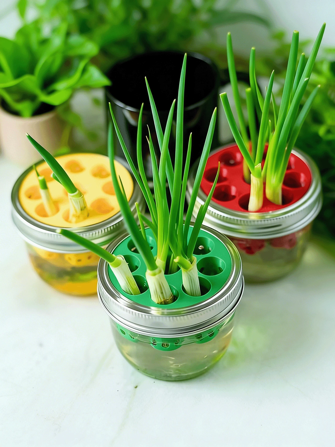 1pc 3D Printed Mold For DIY Hydroponic Planting Of Garlic & Green Onion - Multicolor - View 1