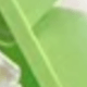 彩色