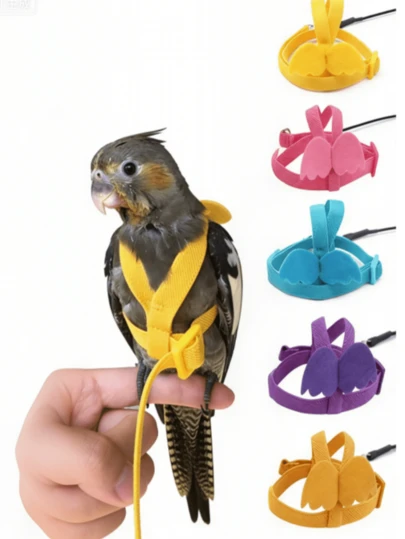 可调节鸟类胸背带和牵引绳，鹦鹉飞行训练带，适用于各种小型鹦鹉、长尾鹦鹉、凤头鹦鹉、金刚鹦鹉、鹦鹉或雀类户外训练