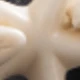 白色