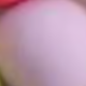 彩色