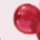 彩色