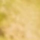Collar Anti-barking Device - ZX13 - Electric Shock Version - Yellow