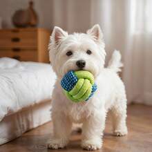 耐用编织绳狗玩具 - 适合幼犬和幼猫的咀嚼玩具 - 彩色 - 查看 13
