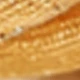 Gold 6
