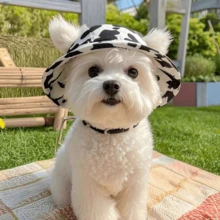 PETSIN 1 pieza Sombrero de cubo para mascotas - Diseño con orejas expuestas, ajustable, sombrero protector solar para gatos y perros, adecuado para mascotas pequeñas/medianas/grandes, diseño de estampado de vaca, accesorio de ropa para cachorros y gatitos, accesorio fotográfico - Multicolor - Ver 9