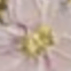 彩色