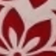 彩色
