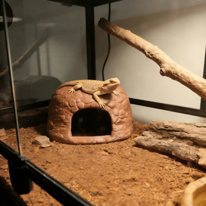 3D Printed/Resin Rock Cave Hideaway - Amphibian And Reptile Shelter | Realistic Stone Texture For Aquarium, Lizard And Turtle Terrarium