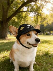 Pet Outdoor Hiking Travel Parent-Child Hat, Dog Cat Duck Billed Baseball Cap - Multicolor - View 1