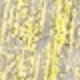 Dorado