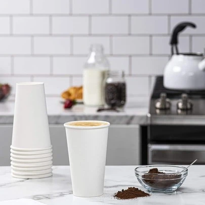 10 chiếc cốc giấy dùng một lần màu trắng, dung tích 16oz (khoảng 500ml), thích hợp cho đồ uống nóng và lạnh, chắc chắn và lý tưởng cho gia đình, văn phòng và các sự kiện - Bao bì tiện dụng.
