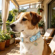 Bobo Rainbow Dog Collars Spring Summer Blue Daisy Print Pet Collar Holiday Adjustable Pendant Collar With Quick Release Plastic Buckle For Dogs - Blue and White - View 7