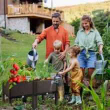 LEO IRIS Garden Planting Box With Drainage System And Drainage Holes, Traditional Black Woven Plastic Container, Suitable For Balconies, Outdoor Gardening, Vegetables, Flowers, Lawns, With A Sturdy And Lightweight Structure. - 兩個 - 查看 11