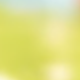 清光暖焰・升級柔光型12盞裝