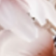杏色