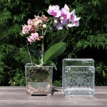 Acrylic Transparent Square Planting Pot Imitation Glass Plastic Butterfly Orchid Special Flowerpot - Multicolor - View 15