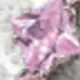 Plata + Rosa