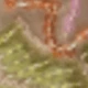 彩色