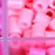 多色B