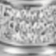 Silver Version