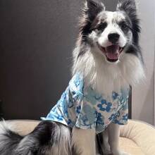 1pc Pineapple Print Pet Dress For Medium-Large Dogs, Spring/Summer/Autumn, Cute Cap Sleeve Dress For Golden Retriever, Labrador, Samoyed - Baby Blue - View 3