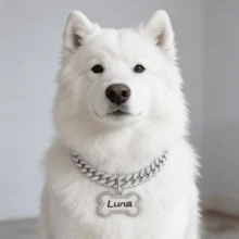 Classic Hip-Hop Cool Zinc Alloy Cuban Link Necklace, Luxury Fashion Pet Collar, Rhinestone Bone Pendant, Adjustable Size Suitable For Cats And Dogs - Multicolor - View 5