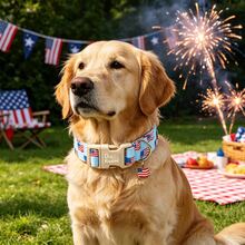 Bobo Rainbow Dog Collars Independence Day Light Blue American Flag Print Pet Collar 4th Of July Adjustable Pendant Collar With Quick Release Plastic Buckle For Dogs - Baby Blue - View 3