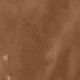卡其色