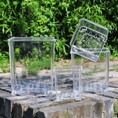 Chậu trồng cây vuông trong suốt bằng acrylic, giả thủy tinh, nhựa, thích hợp trồng lan bướm.