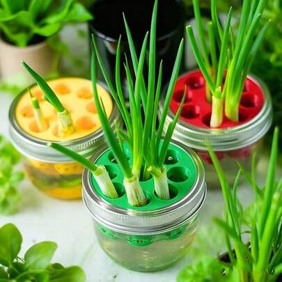 2 khuôn in 3D tự chế trồng tỏi và hành lá bằng phương pháp thủy canh, dụng cụ làm vườn, trang trí ngoài trời.