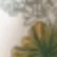 青檸色
