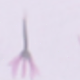 小清新