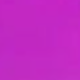 Rosa Fucsia