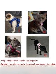 1 set de laisse et harnais ajustables pour animaux de compagnie, 6 couleurs au choix, design réfléchissant, matériau en maille respirante, convient aux chats et aux chiens, pratique pour la promenade, les voyages et les cadeaux, utilisation toute saison - Multicolore - Voir 3