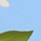 多色2