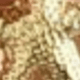 Vàng