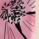 彩色