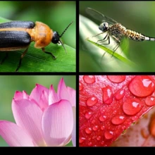 0.45X Super Wide Angle Macro Lens Kit, Optical Zoom Function, Suitable For Smartphones, HD Wide Angle Lenses And Portable DSLR Cameras, Universal Compatibility - A - 查看 4
