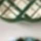 多色