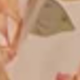 Packaging Paper