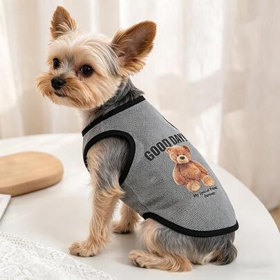 一件印有小熊图案的网眼狗狗背心，适合小型犬和猫咪。夏季透气不闷热，时尚美观，非常适合狗狗夏季穿着。这款背心夏季通用，猫狗皆宜，透气防掉毛。
